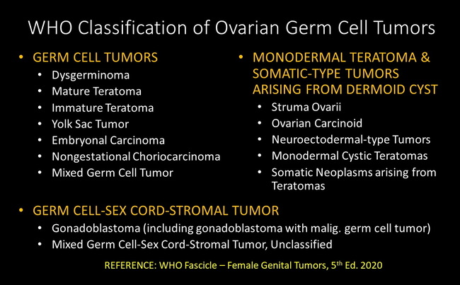 Ovarian Germ Cell Tumors2A_resized.jpg